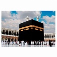 �������� ������� Alingar, �� ����������, � ������ �����������, (�����.), 30�40 ��, 20 ������, "�����